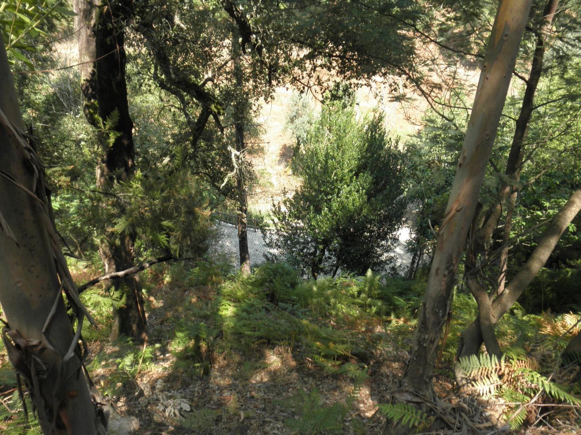 Villa Casa Velha Figueiro Dos Vinhos Esterno foto