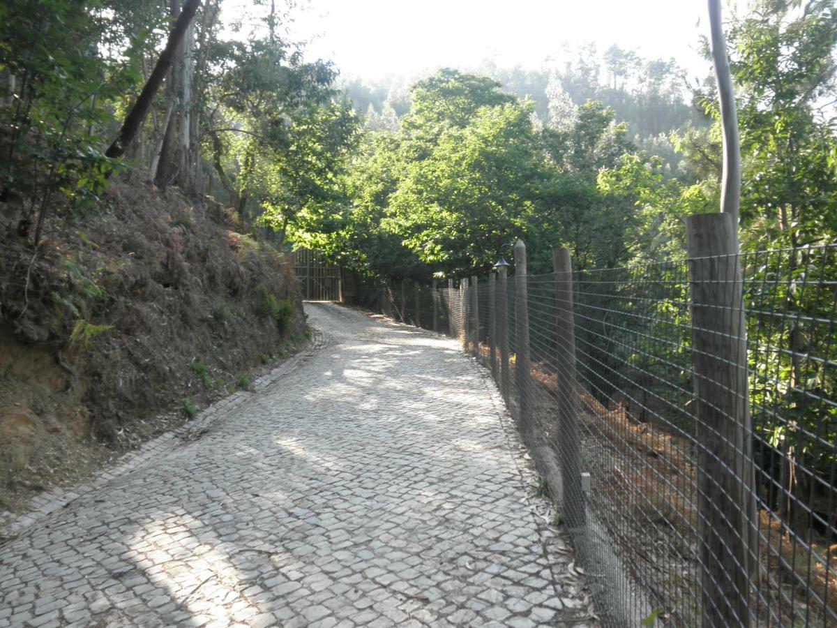 Villa Casa Velha Figueiro Dos Vinhos Esterno foto