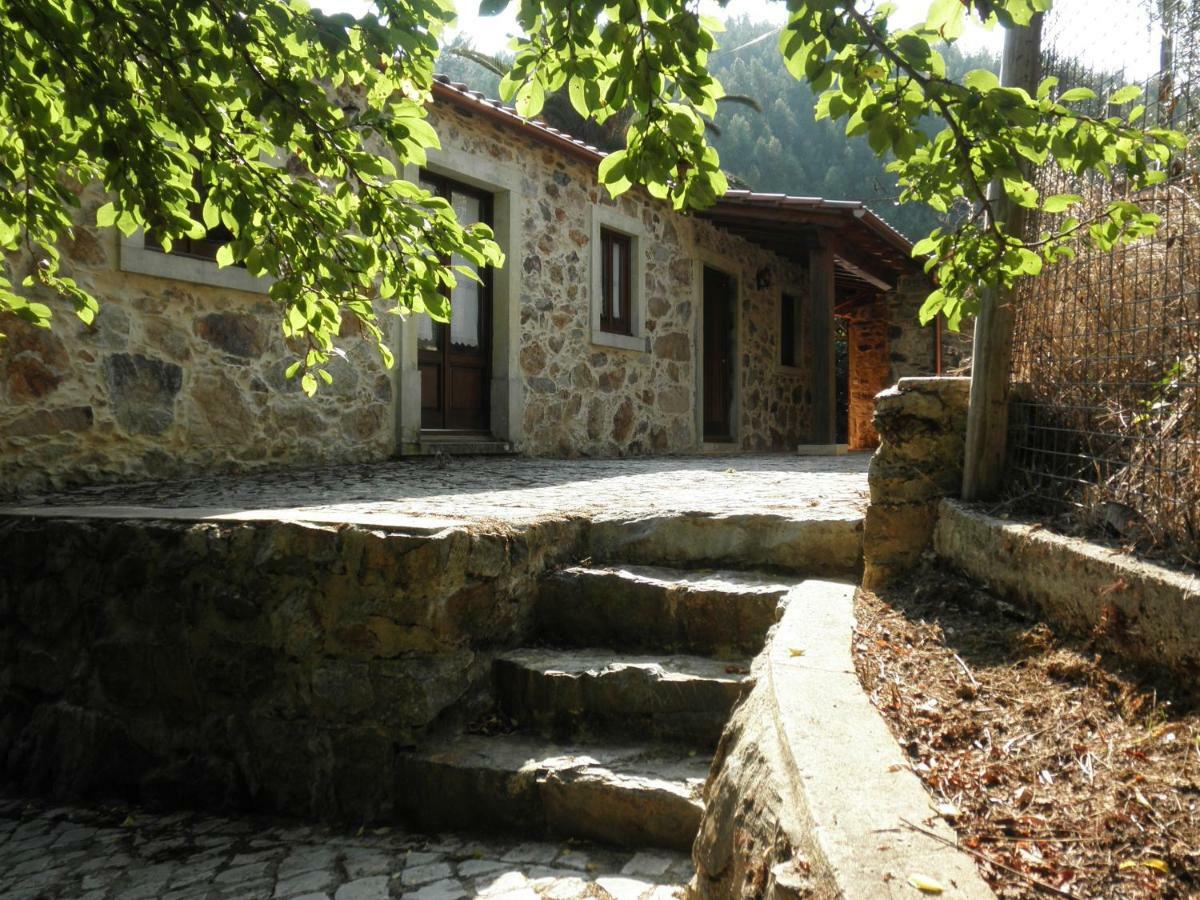 Villa Casa Velha Figueiro Dos Vinhos Esterno foto