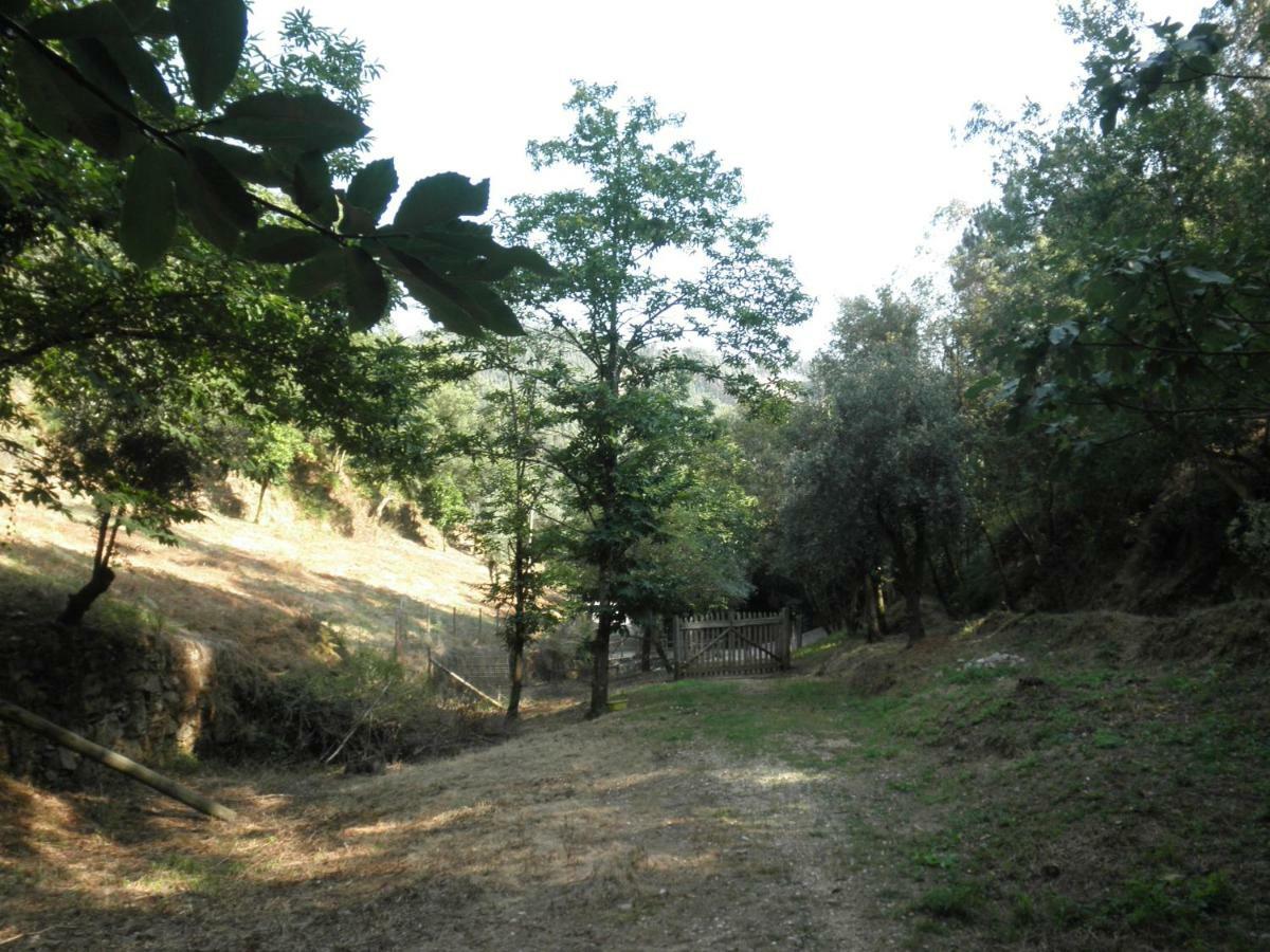 Villa Casa Velha Figueiro Dos Vinhos Esterno foto